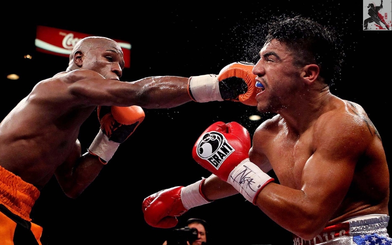 Hình ảnh chương 2